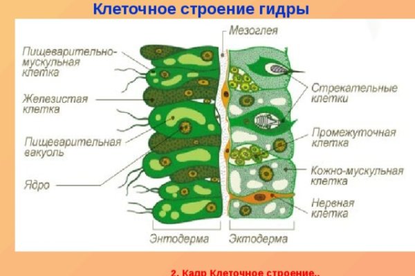 Зайти кракен через тор