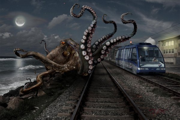 Kraken маркет whitenet только через tor скачать