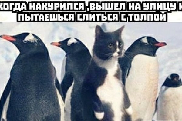 Kraken сайт зеркала
