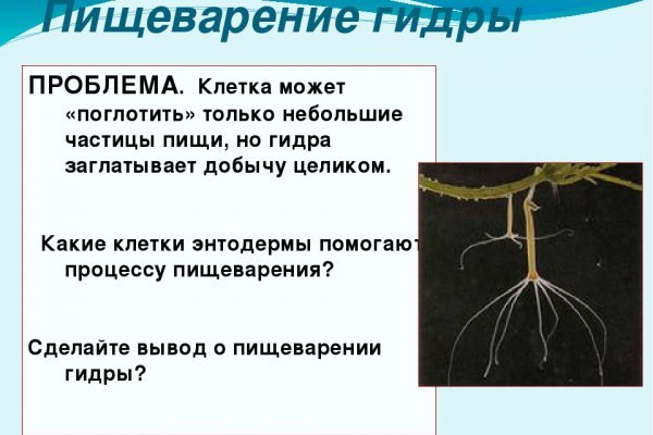 Почему не получается зайти на кракен