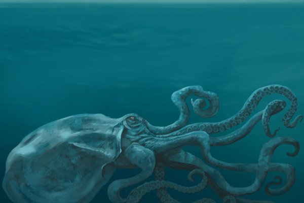 Кракен даркент