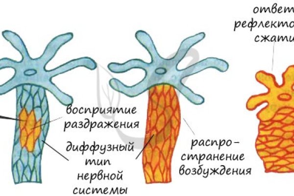 Ссылка на кракен не работает